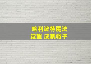 哈利波特魔法觉醒 成就帽子